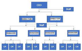 Abiding Organisational Hierarchy Chart Clothing Store