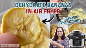 how to dehydrate bananas in the air fryer