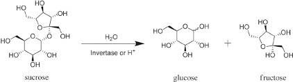 Inversion Of Sucrose To Glucose