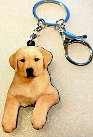 Labrador retrievers from ohio labrador retriever breeders: Yellow Labrador Puppy Lab Dog Realistic Looking Acrylic Key Ring Jewelry Ebay