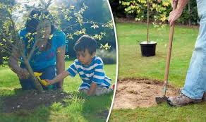 Planting Trees And Shrubs