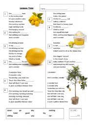 lemon tree fools s garden worksheets