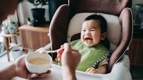 Image result for 6 month old feeding schedule with solids and formula