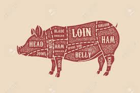 Pig Butcher Diagram Pork Cuts Design Element For Poster Card
