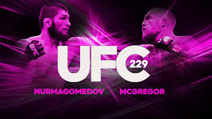 Image result for watch ufc 229 video player