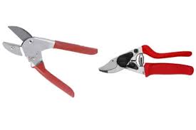 anvil pruners a pruning tools