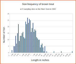 River Avon Trout Length Frequency Chart Fly Fishing On