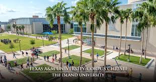 Texas A M University Corpus Christi Academic Overview