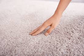 maintaining clean and beautiful carpets