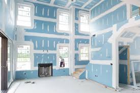 What Is Mold Resistant Drywall Hunker