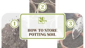 How To Potting Soil Tips To