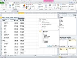 pivottables in microsoft excel 2010