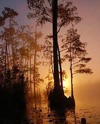 okefenokee national wildlife refuge