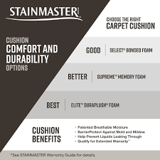 stainmaster petprotect party