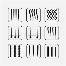Hair Type Chart Stock Illustrations 83 Hair Type Chart