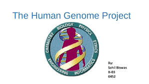 Image result for human genome