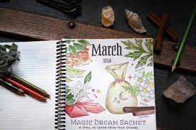 You can review this information at the end of the month to reflect and plan your nexts month's goals and intentions. Coloring Book Of Shadows Planner For A Magical 2018 Review