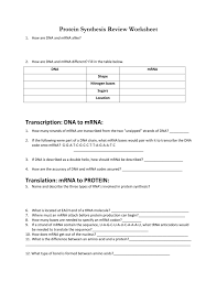 Protein Synthesis Review Worksheet Transcription Dna To Mrna