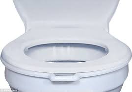 Hands Free Toilet Seat Controlled Using