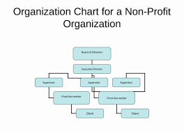 Non Profit Board Organizational Chart Www Imghulk Com