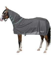 Fly Rug Protection