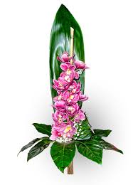 Резултат слика за orhideja
