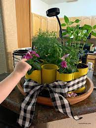 Diy Indoor Herb Garden Kit With Grow