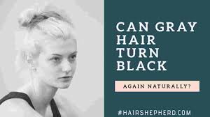 Black hair goes through stages of red, brown, and yellow in succession before turning blonde. Can Grey Or White Hair Turn Black Again Naturally Hairshepherd