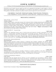 General Resume Objective Examples With Professional Experience