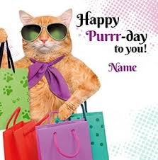 Cat Birthday Cards Funny Cute Funky Pigeon