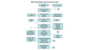 Emc National Mutual Aid Concept Flow Chart