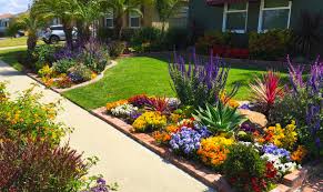 Front Yard Landscaping Ideas