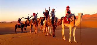 A desert safari is an unforgettable experience for visitors to morocco and opting for a private tour means you can customize your tour to suit your preferences. 3 Days Tour From Marrakech To Fes Marrakech Desert Trip Guide Morocco Tours