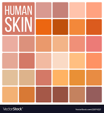 Human Skin Various Body Tones Chart