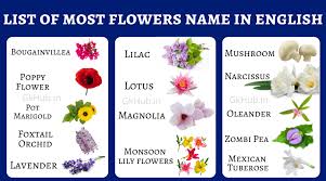 100 Flowers Name In English Names Of