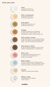 urine color chart what s normal and