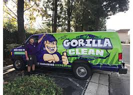 gorilla carpet cleaning in thousand