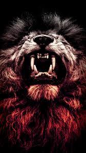 Red Lion iPhone Wallpapers - Top Free ...