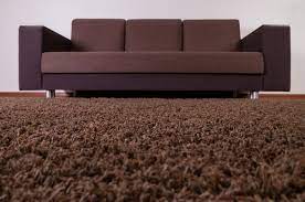 how to get ants out of carpet
