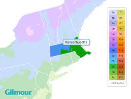 Massachusetts Planting Zones Growing