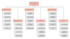 Template Hr Org Chart Lucidchart