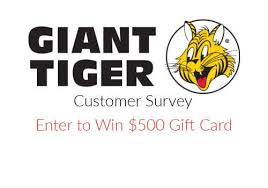 giant tiger survey