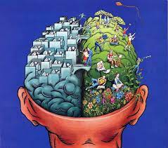 Brain science and cognitive psychologists use psychological research methods and principles to better understand how the mind works, from perception to learning, language, attention, memory. How Our Brain Works 10 Surprising Facts Buffer Blog