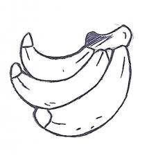 Prepare a impressora e clique em imprimir o desenho. Desenho De Banana Para Pintar Curso Completo De Pedagogia