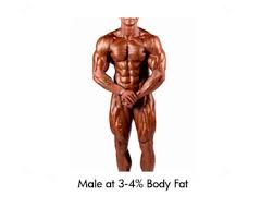 body fat percenes and pictures