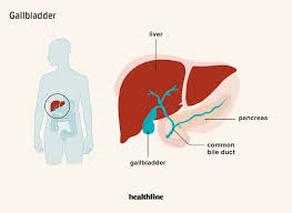 what are common gallbladder problems