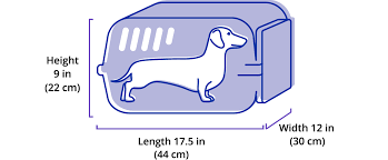 traveling with pets united airlines