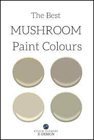 the best mushroom paint colours