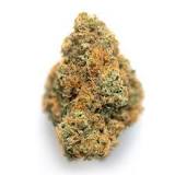 Image result for Citrus Haze weed