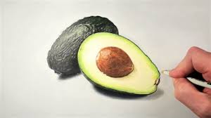 Download avocado images and photos. Drawing A Ripe Avocado Speed Drawing Timelapse Using Prismacolor Pencils Youtube